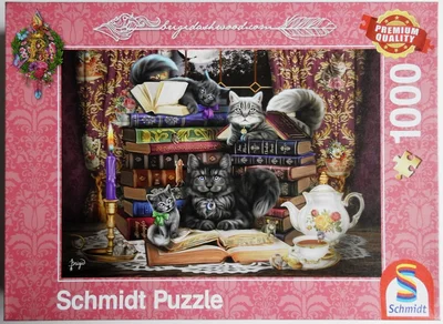 Storytime Cats