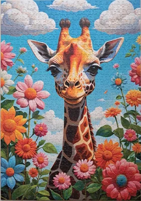 Cute Giraffe