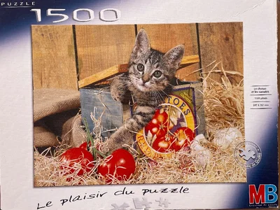 Le chaton et les tomates