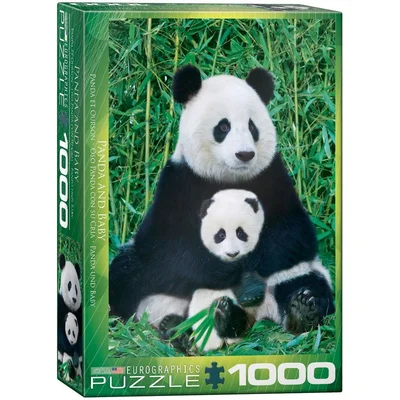 Panda & Baby
