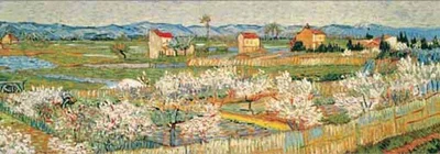 Pêchers en Fleurs