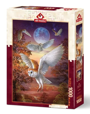 Moonlight owls