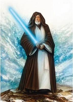 The Jedi Master