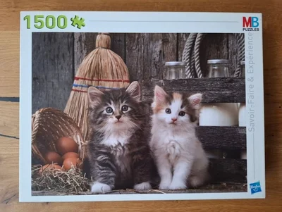 Mignons chatons