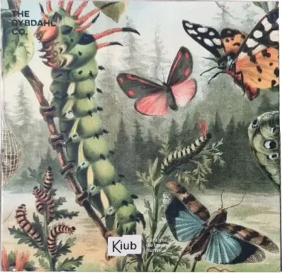 Insectes