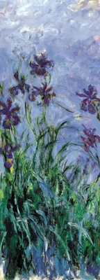 Iris Mauves