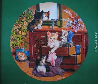 Bureau Cats