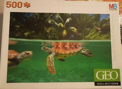 Tortues dans le lagon - Géo collection