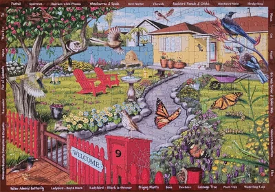 The Garden