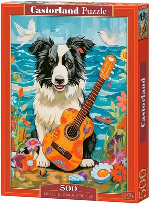 Collie, Guitar and the Sea