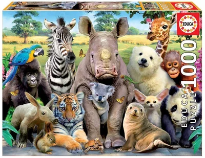 It´s a class photo
