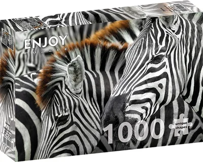 Zebras