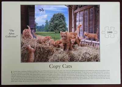 Copy Cats
