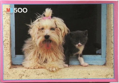 Puppy and Kitten