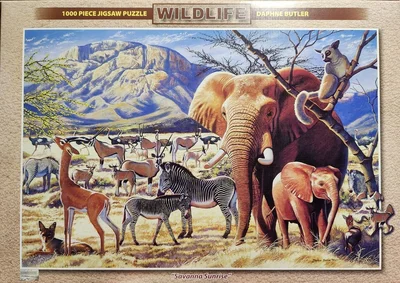 Savanna Sunrise