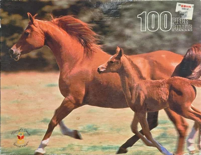 Arabian Mare with Foal