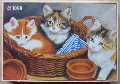 Francien's Cats