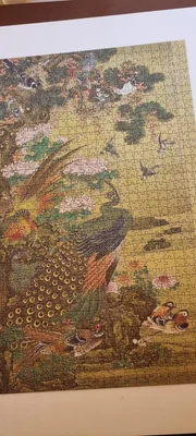 Birds and flowers