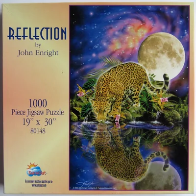 Reflection