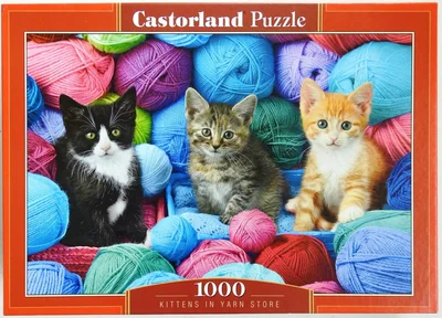 Kittens in Yarn Store