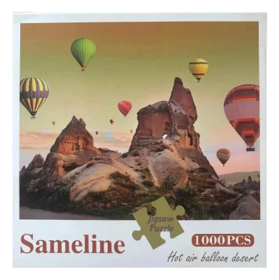 Hot air balloon desert
