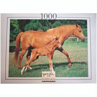 Chevaux dans les prés