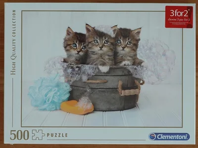 Kittens and Soap