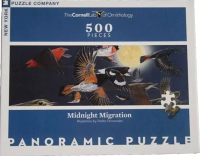 Midnight Migration