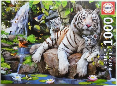 White tigers of bengal