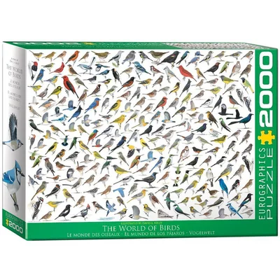 The World of Birds