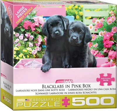 Black Labs in Pink Box