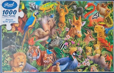 Animals of the Jungle
