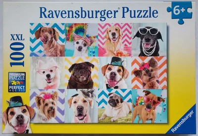 Doggy Disguise