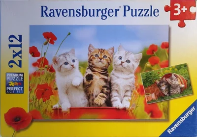 Kitten Adventures