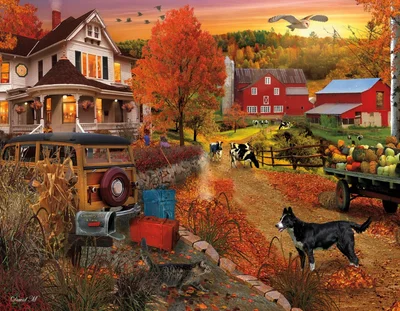 Country Inn and Farm