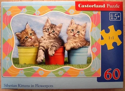 Siberian Kittens in Flowerpots