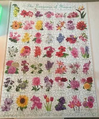 The Language of Flowers