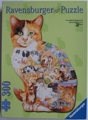 Calico Cat