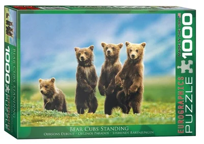 Bear Cubs Standing