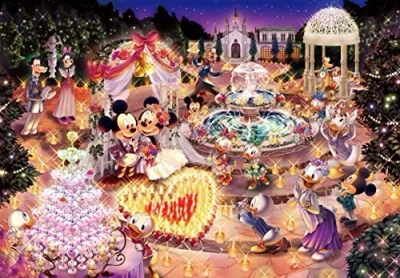 Disney Night Wedding Dream Shining