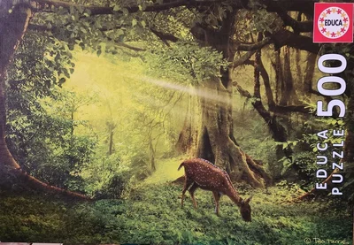 Little Deer