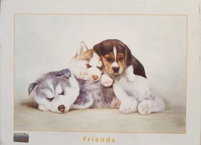Friends