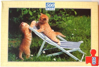 Spielende Katzen