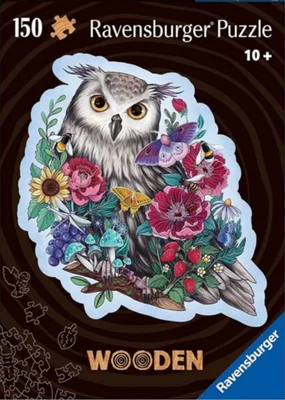 Mysterious Owl
