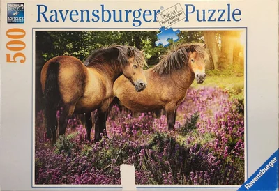 Ponies in the Flowers