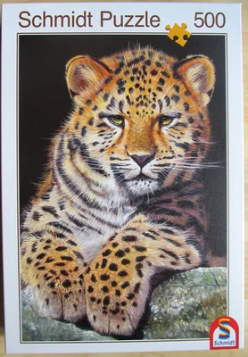 Baby Leopard