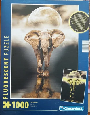 The Elephant