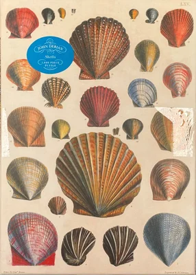 Shells