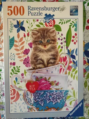 Kitten in a cup