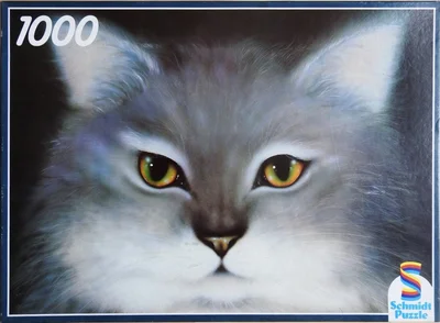 Cat's Eyes